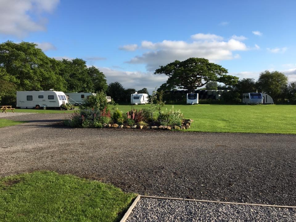 Caravan pitches with green grass, tarmac road running between. Green grass and blue sky. Lots of trees around the edges.