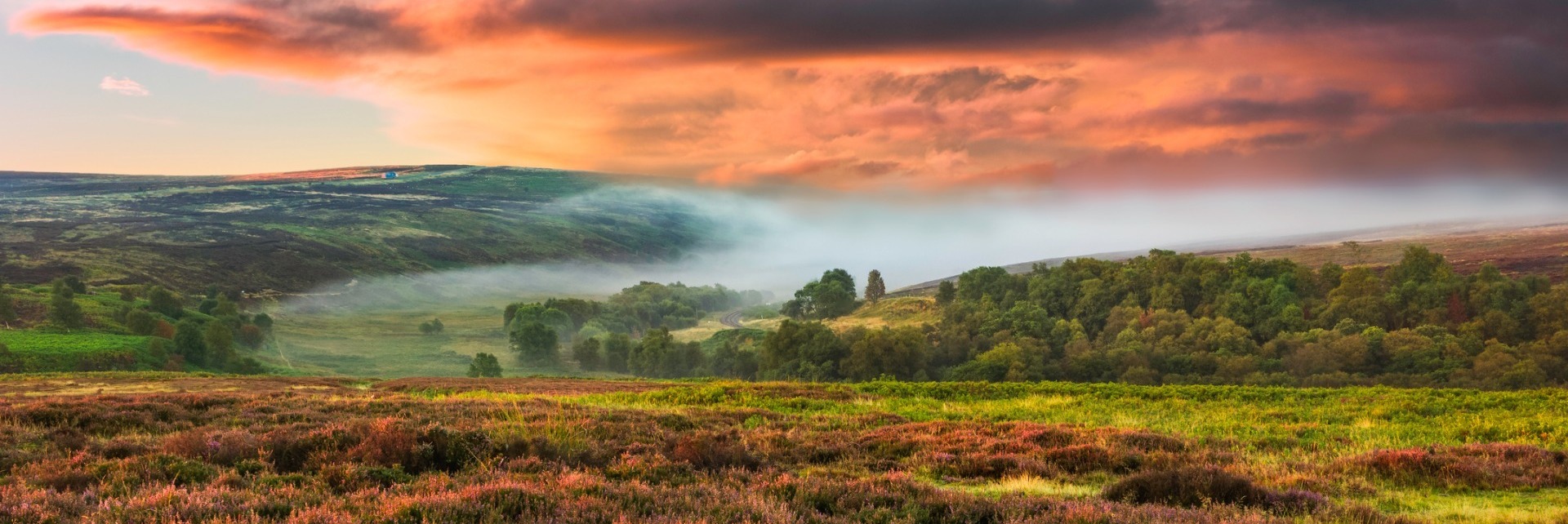 A coulourful picture of the Yorkshire moors.